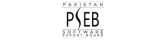 pseb-BOUYwnUg